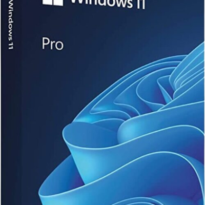 Microsoft Windows 11 Pro